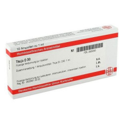 Thuja D 30 Ampullen (10X1 ml) – PZN 2825360