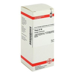Thuja D 10 Dilution (50 ml) – PZN 4240356