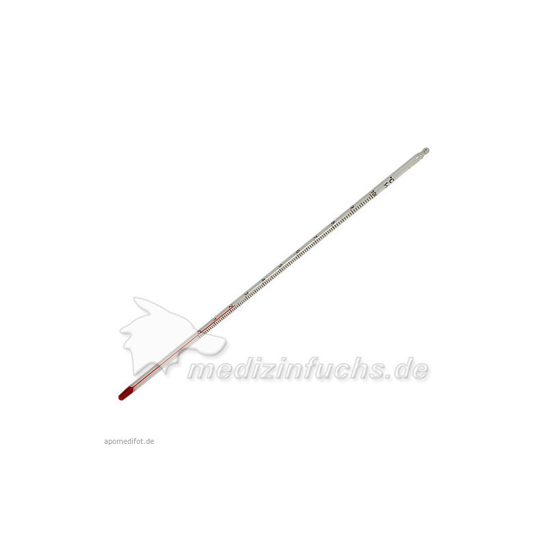 Thermometer bis 100 Grad Celsius, 1 ST – PZN 1384468