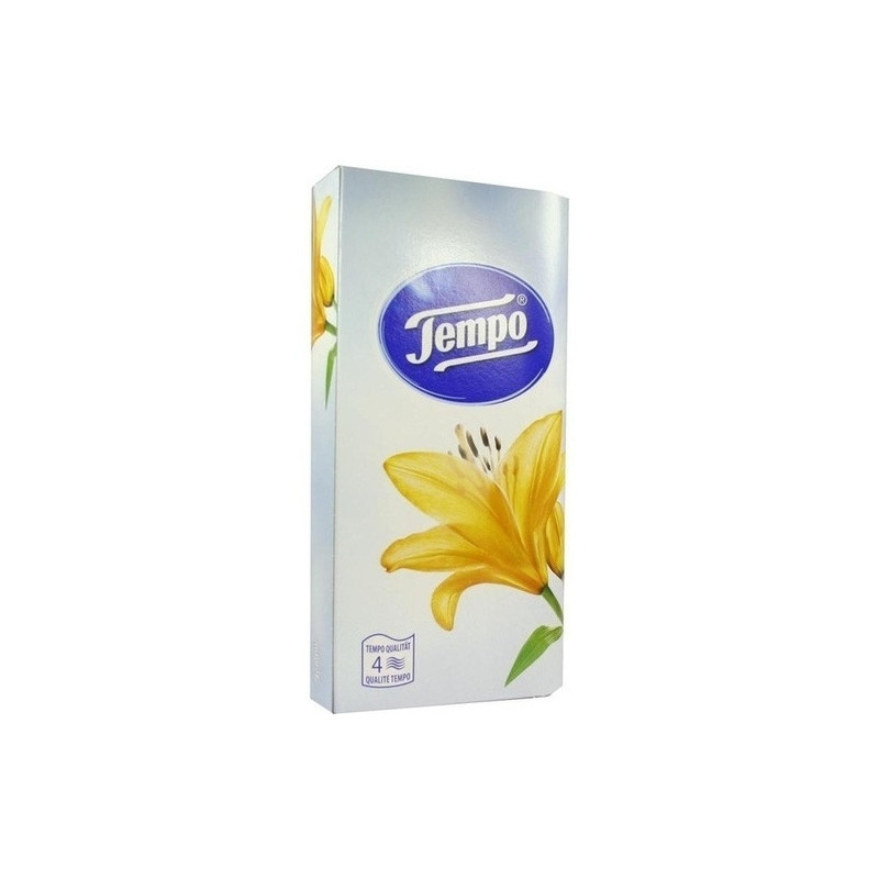TEMPO BOX Karton, 80 ST – PZN 4941805