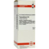 Thyreoidinum D 6 Dilution (50 ml) – PZN 2933003