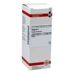 Thuja D 1 Dilution (50 ml) – PZN 2107819