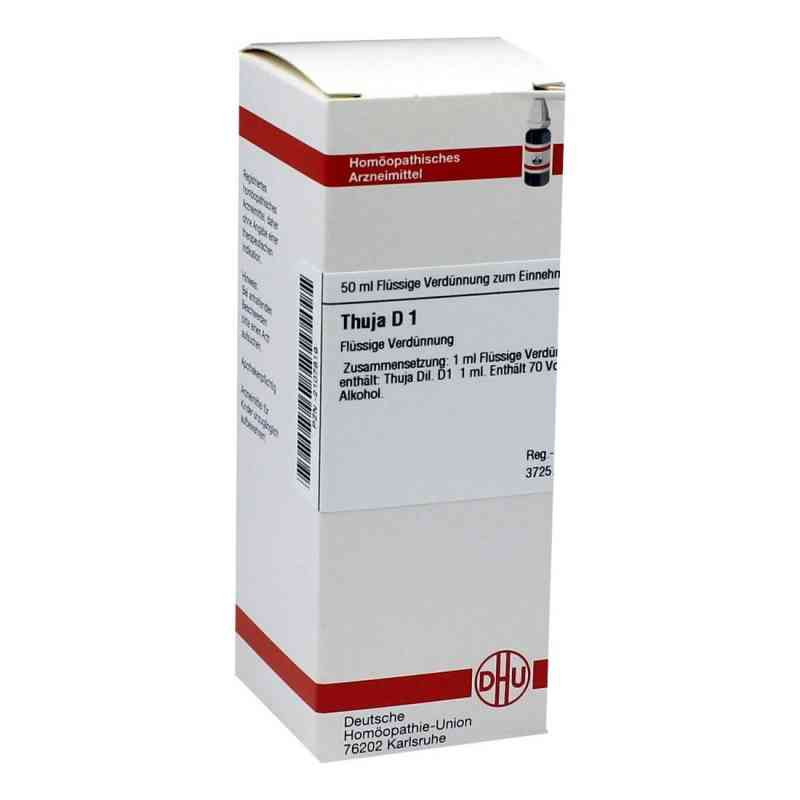 Thuja D 1 Dilution (50 ml) – PZN 2107819