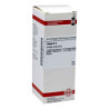 Thuja D 1 Dilution (50 ml) – PZN 2107819