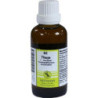 THUJA F Komplex Nr.62 Dilution, 50 ML – PZN 4484443