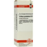 Trillium Pendulum D 2 Dilution (20 ml) – PZN 7182501
