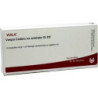 VESPA CRABRO EX ANIMALE GL D 5 Ampullen, 10X1 ML – PZN 4625240