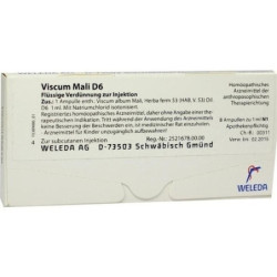 VISCUM MALI D 6 Ampullen, 8X1 ML – PZN 2597373