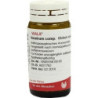 VERATRUM COMP.Globuli, 20 G – PZN 8788387
