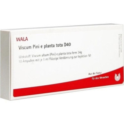 VISCUM PINI e planta tota D 40 Ampullen, 10X1 ML – PZN 86970