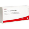 VISCUM PINI e planta tota D 40 Ampullen, 10X1 ML – PZN 86970