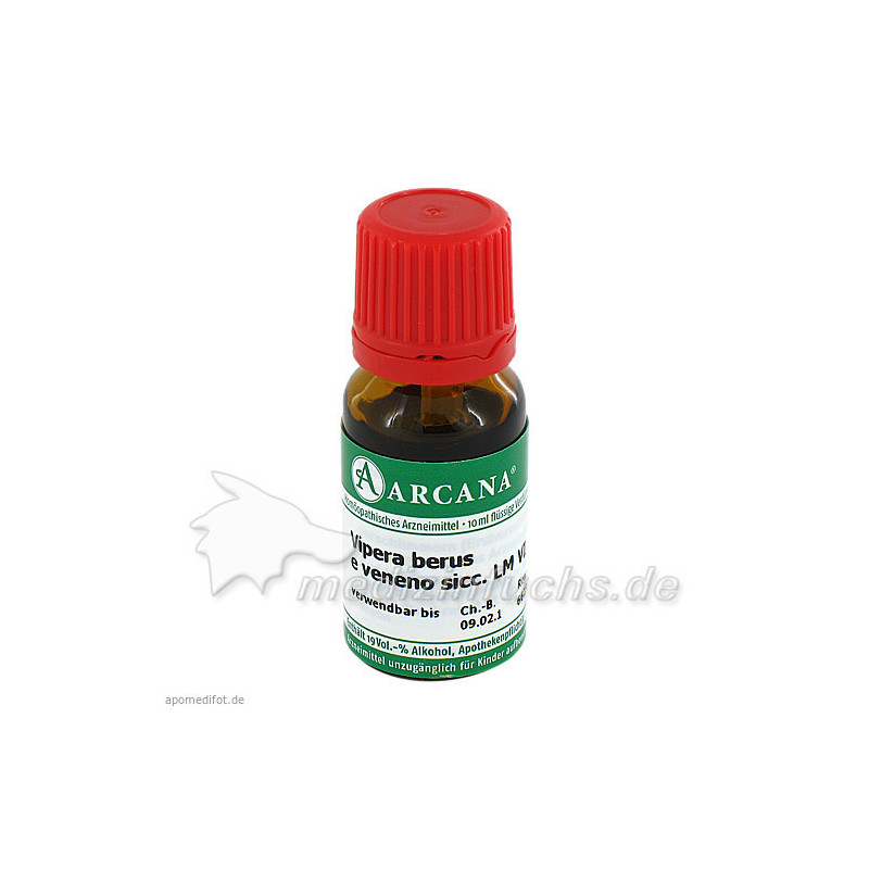 VIPERA BERUS E veneno sicc.LM 6 Dilution, 10 ML – PZN 3503285