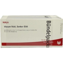 VISCUM MALI Senker D 30 Ampullen, 50X1 ML – PZN 3795684