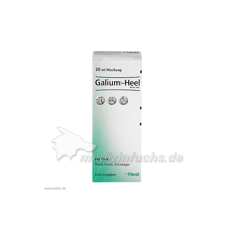 GALIUM COMP.-Heel ad us.vet.Tropfen, 30 ML – PZN 4658050