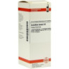 GALANTHUS NIVALIS D 6, 50 ML – PZN 8479321