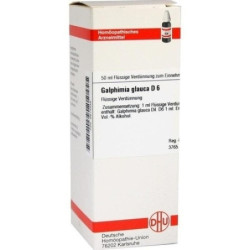 GALPHIMIA GLAUCA D 6, 50 ML – PZN 2614338