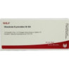 GLANDULA THYREOIDEA GL D 4, 10X1 ML – PZN 2831076