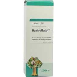 Gastroflatol, 100 ML – PZN 4044827