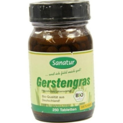 Gersten-Gras 400mg, 250 ST – PZN 8852292