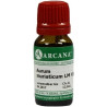 Aurum muriaticum LM 6, 10 ML – PZN 6921273