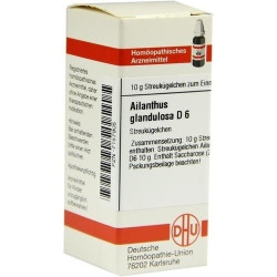 AILANTHUS GLAND D 6, 10 G – PZN 7157905