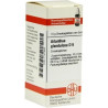 AILANTHUS GLAND D 6, 10 G – PZN 7157905