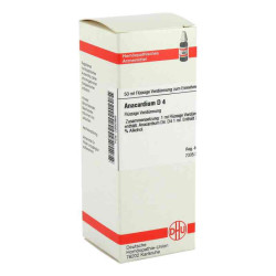 Anacardium D 4 Dilution (50 ml) – PZN 2892965