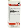 AETHIOPS ANTIMON D10, 10 G – PZN 7454170