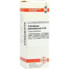 Yohimbinum hydrochloricum D 30 Dilution (20 ml) – PZN 7250160