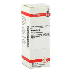 Aesculus D 4 Dilution (20 ml) – PZN 1755315