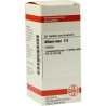 Allium Cepa C 6 Tabletten (80 stk) – PZN 7454224