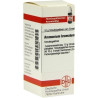 AMMONIUM BROMATUM D 6, 10 G – PZN 7158448