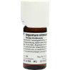 Argentum nitricum D 6, 20 ML – PZN 6805495