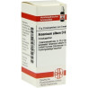 ARSENICUM ALB D 8, 10 G – PZN 7160037