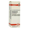 Antimonium Sulf. Aurant. D 6 Dilution (20 ml) – PZN 4203585