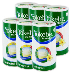 Yokebe Lactosefrei Vanille Pulver (6x500 g) – PZN 8130258