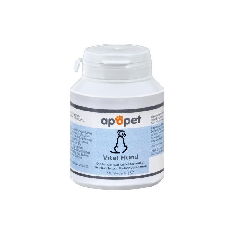 ApoPet Vital Hund, 100 ST – PZN 5382503
