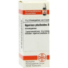 Agaricus phalloides D4, 10 G – PZN 1980489