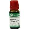 ARGENTUM NITRIC LM 6, 10 ML – PZN 7539251