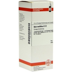 APIS MELLIFICA D12, 50 ML – PZN 2888751