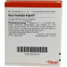 ASA FOETIDA INJ, 10 ST – PZN 75914