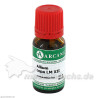 ALLIUM CEPA ARCA LM 12, 10 ML – PZN 2600342