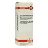 Ammonium Jodatum D 4 Dilution (20 ml) – PZN 2806285