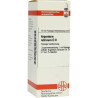 ARGENTUM NITR D 8, 20 ML – PZN 2607284
