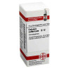 Calcium Sulfuricum D 12 Globuli (10 g) – PZN 4209820