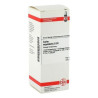Carbo Vegetabilis D 30 Dilution (50 ml) – PZN 2809208