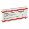 Calcium Carbonicum D 12 Ampullen Hahnemanni (10X1 ml) – PZN 2826359