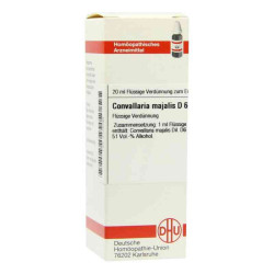 Convallaria Majalis D 6 Dilution (20 ml) – PZN 2128230