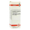 Convallaria Majalis D 6 Dilution (20 ml) – PZN 2128230