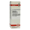 Carboneum Sulfurat. D 6 Dilution (20 ml) – PZN 4210792